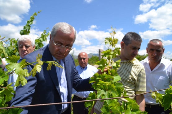 Սերգո Կարապետյանն այցելել է Վայոց մարզ