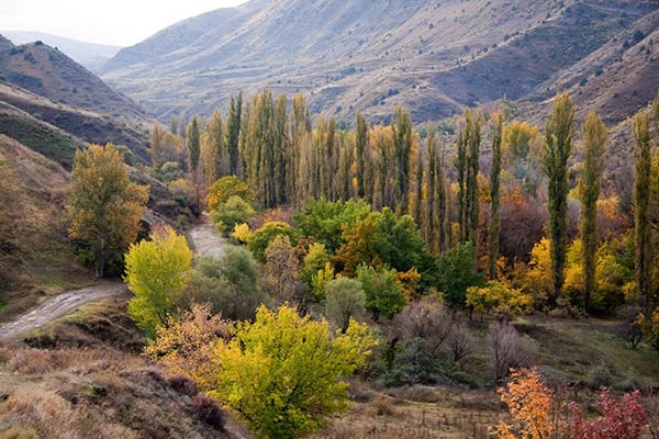 Բնապահպանության նախարարության օտարերկրյա դրամաշնորհները