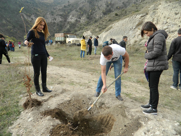 Հիսուն սոսի՝ հերոսի հոբելյանի առթիվ