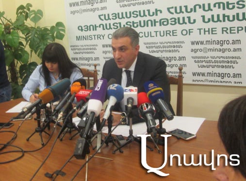 Գյուղնախարար. մսի թանկացման համար պետք չէ «պանիկա» ստեղծել (Տեսանյութ)