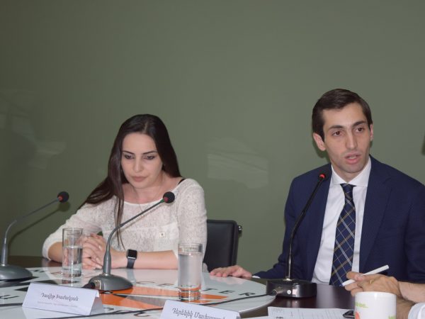 «Այո, այս պահին իմ տարիքը չի համապատասխանում քաղաքապետի թեկնածու լինելու համար». Թեհմինա Վարդանյան