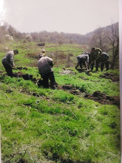 Նոյեմբերյանի անտառտնտեսության անտառներում այս տարի 13 հազար տնկի է տնկվել