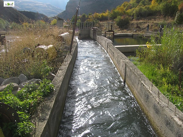 «Ովքե՞ր են այստեղ ջրագողերը  եւ ջրայուրացողները»