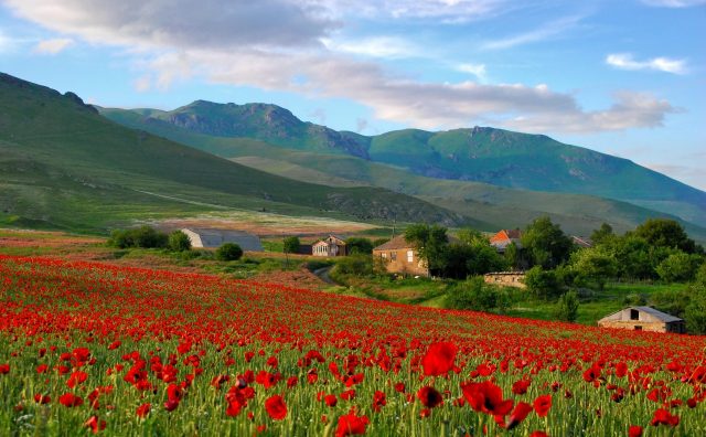 Օրգանական գյուղատնտեսության սերտիֆիկացման աջակցության մրցույթ