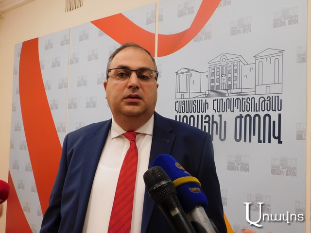 «Այն, որ անձը հնարավորություն չունի ելույթ ունենալու, դեռեւս չի նշանակում, որ նրանց ընտրվելու իրավունքը խախտված է». Վլադիմիր Վարդանյան