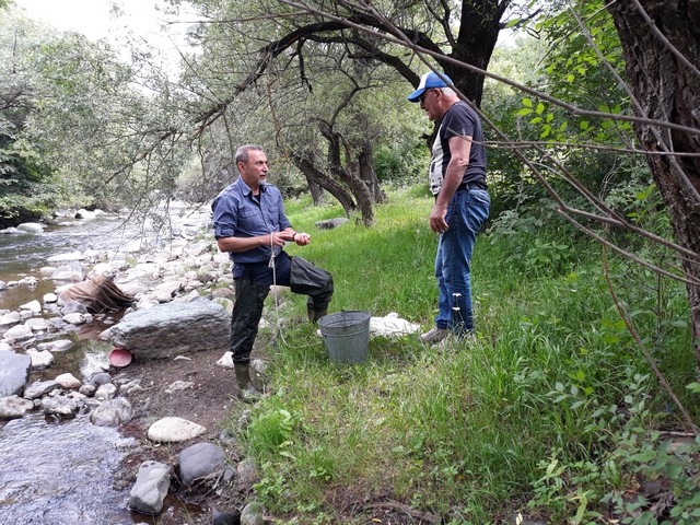 Մոդելային սարքի միջոցով Սևանա լճից կկլանվեն վնասակար միկրոօրգանիզմները. հայ գիտնականները Սևանը ճահճացումից փրկելու դեղատոմս են առաջարկում