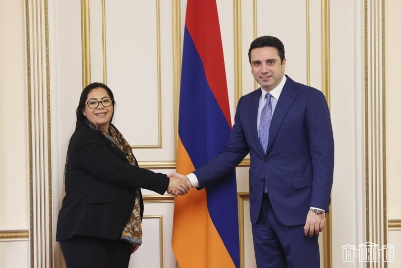 Ալեն Սիմոնյանը նշել է՝ Ադրբեջանի նախագահի հատուկ բանագնացին պատերազմում հաղթանակի համար շնորհավորելը հակասում է Մեքսիկայի՝ ուժի չկիրառման պաշտոնական դիրքորոշմանը