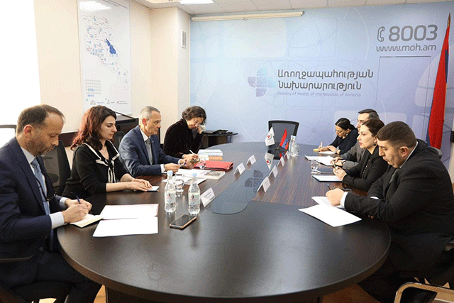 Փակ ճանապարհի պայմաններում մարդկանց առողջապահական կարիքները մնում են չլուծված. Քննարկվել է Արցախում հումանիտար իրավիճակը