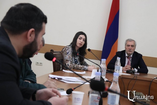 «Ընդդիմության հավաքին հնչել են բռնության, ընդհուպ մինչեւ մահվան սպառնալիքներ, կախաղանների մասին է խոսքը». Վահագն Ալեքսանյան