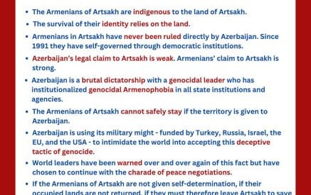 Արցախի հայերն Արցախի հողի բնիկներն են։ Նրանք չեն կարող ապահով մնալ, եթե տարածքը հանձնվի Ադրբեջանին. Լեմկինի ինստիտուտ