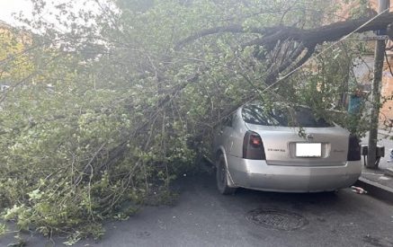 Ծառը կոտրվել և ընկել է ավտոմեքենայի վրա