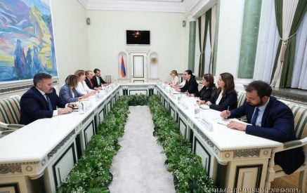 Դեսպանի հետ հանդիպմանը Վարդապետյանն անդրադարձել է ՀՀ-ում հարուցված քրեական գործի շրջանակներում ԱՄՆ իրավասու մարմինների հետ համագործակցության արդյունքին՝ ԱՄՆ դատարանի որոշմանը