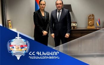 Աննա Վարդապետյանը և ՄԱԿ-ի արհեստական բանականության կենտրոնի ղեկավարը քննարկել են համագործակցության հեռանկարները